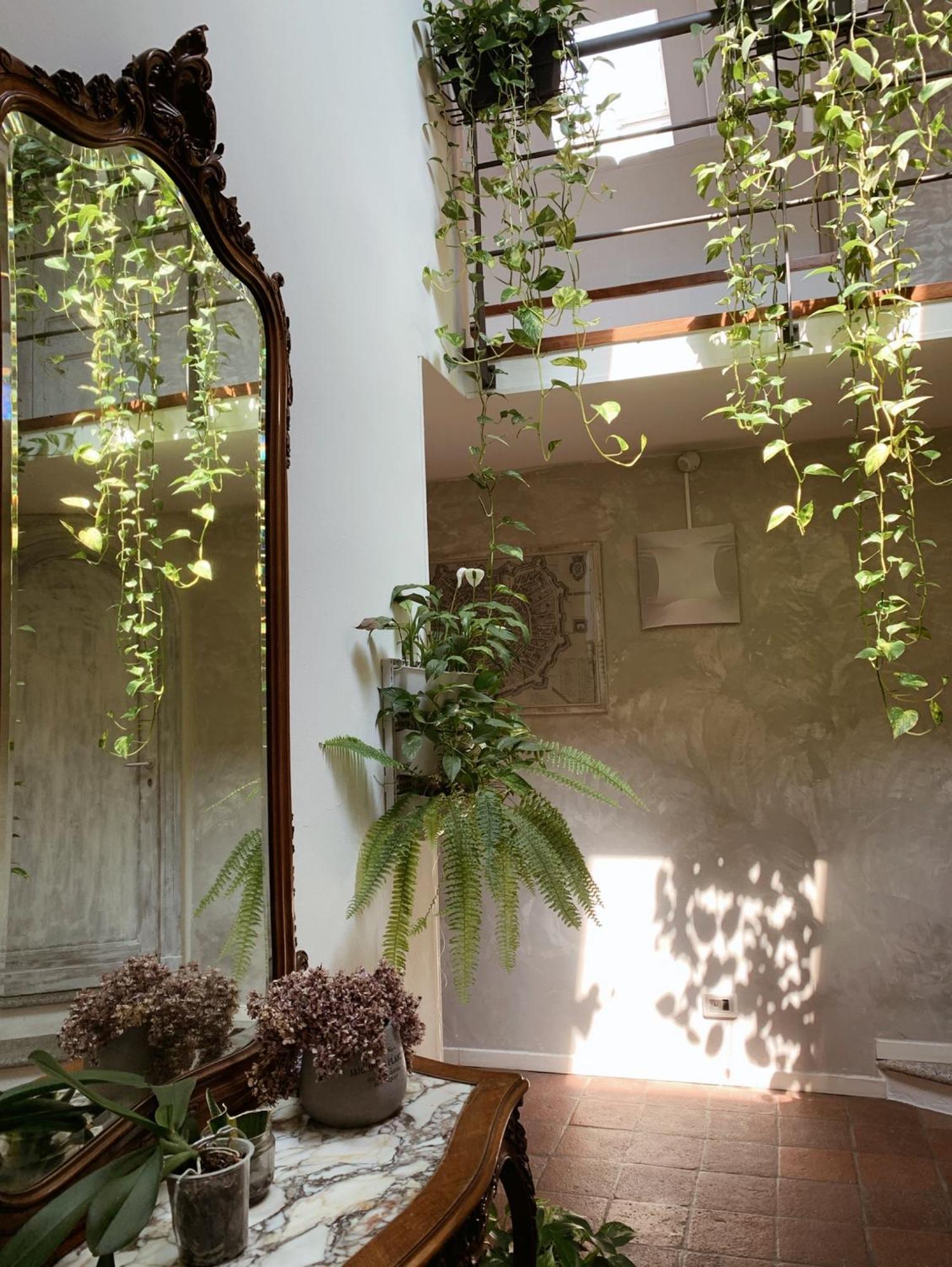 Gioia House Couette-café